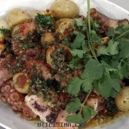 PULPO ASADO CON  CHIMICHURRE DE CILANTRO
