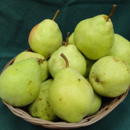Curried Butternut & Pear Soup