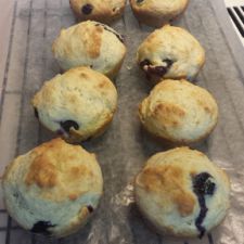 Lisa's Blueberry Muffin Scones