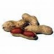 Peanut Butter Cookies