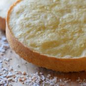 Coconut Sponge Cake