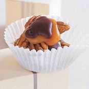 Chocolate-Covered Turtles