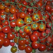 Pasta Sauce with Garlic, Red Wine and Arugula (Salsa di pomodoro con aglio, vino rosso e rucola)