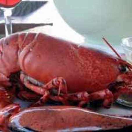 Lobster