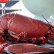 Lobster