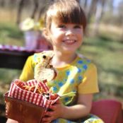 Lumpy PB & Jelly Roosters