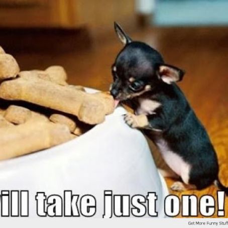 Sweet Potato Dog Biscuits