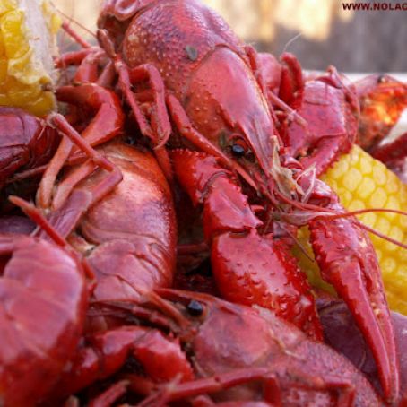Crawfish Boil