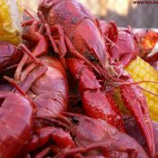 Crawfish Boil