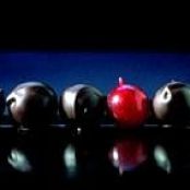 Redcurrants with Chocolate