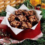 Chocolate Chip Brownies