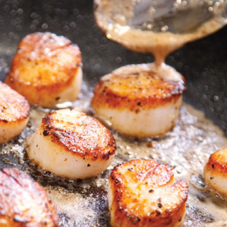 Seared Scallops