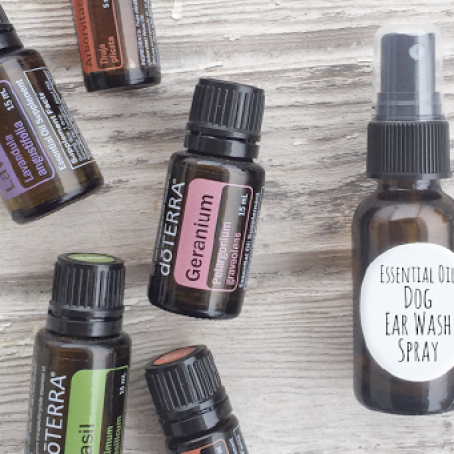 Essential Oil Dog Ear Wash Spray for Ear Infections