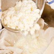 Homemade Ricotta Cheese