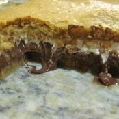 Chewy S'mores Squares