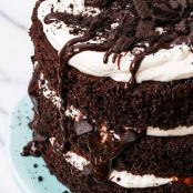 Kentucky Mudslide Cake