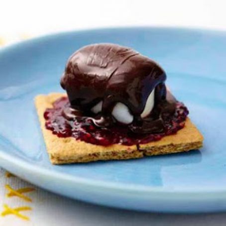 Indoor Raspberry S'more