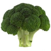 How to Cook Broccoli