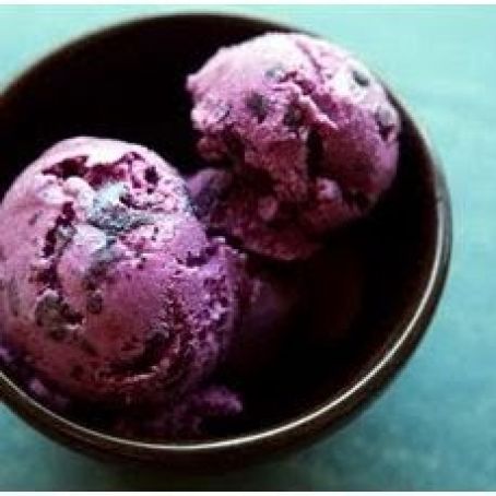 Blueberry Frozen Yogurt Recipe