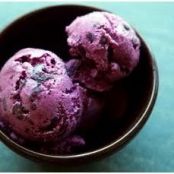 Blueberry Frozen Yogurt Recipe