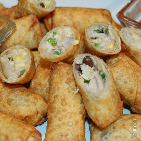 Tex Mex Egg Rolls