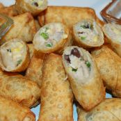 Tex Mex Egg Rolls