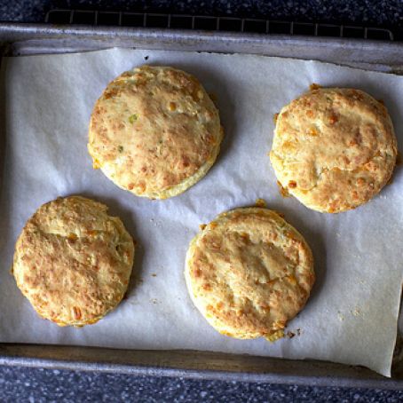 Sour Cream and Cheddar Biscuits