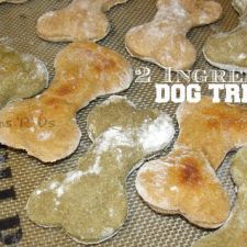 2 Ingredient Dog Treats