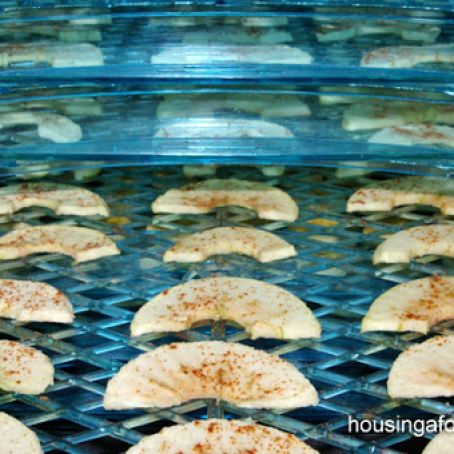 DRIED APPLE SLICES