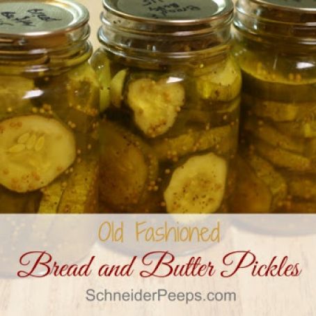 Bread and butter pickles by Angi Schneider