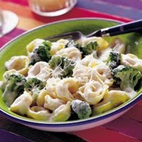 Broccoli and Tortellini Alfredo