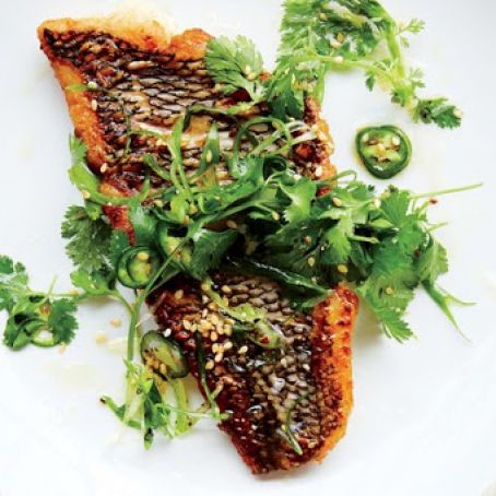 Seared Black Bass With Scallion-Chile Relish