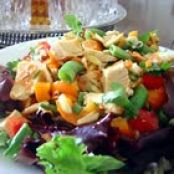 Almond, chicken and dired apricot salad pita