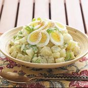 2009 Potato Salad