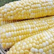 Milk Boiled Corn on the Cob
