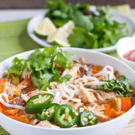 Slow Cooker Asian Chicken Noodle Soup