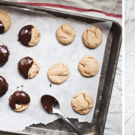 Chocolate Peanut Butter Bites