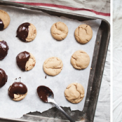 Chocolate Peanut Butter Bites