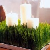 Design - Candles on the Green Centrepiece