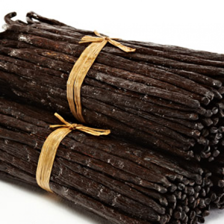 Vanilla Bean Ice Cream