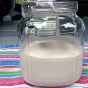 Sourdough Starter