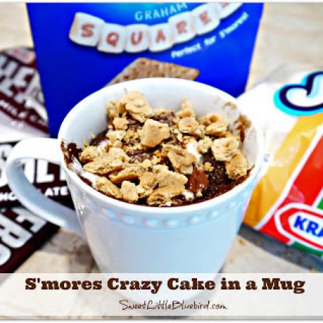 S'mores Crazy Cake in a Mug