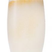 TOASTED COCONUT COLADA