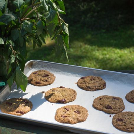 Fresh Mint chocolate Chip Cookies, GF
