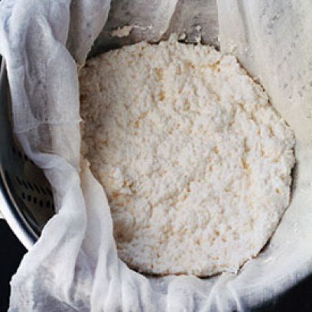 Fresh Homemade Ricotta