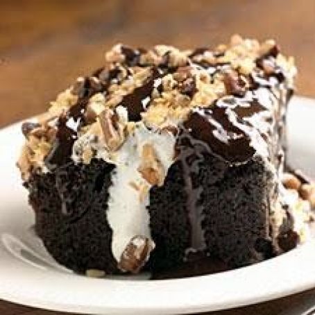 Mississippi Mud Cake