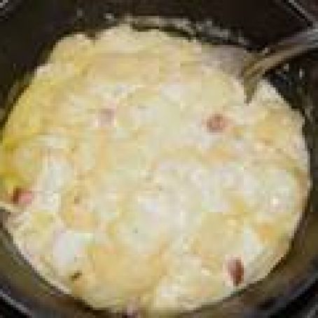 Dijon Scalloped Potatoes