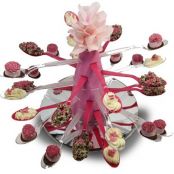 Jellyfish Tasting Server