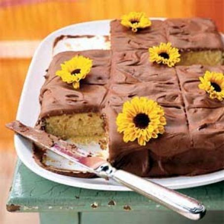 Yellow Cake with Chocolate Frosting