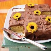 Yellow Cake with Chocolate Frosting